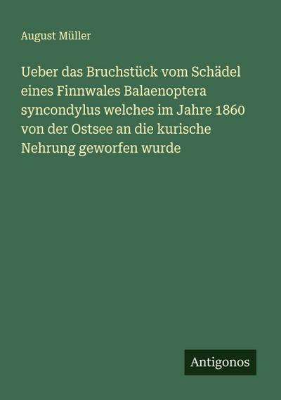 Ueber das Bruchstück vom Schädel eines Finnwales Balaenoptera syncondylus welches im Jahre 1860 von der Ostsee an die kurische Nehrung geworfen wurde