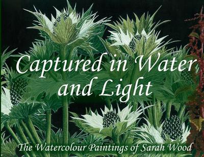 Captured in Water and Light