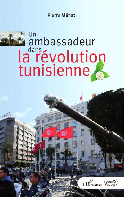 Un ambassadeur dans la revolution tunisienne