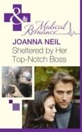 Sheltered By Her Top-Notch Boss (Mills & Boon 