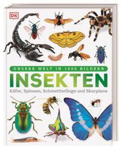 Unsere Welt in 1000 Bildern. Insekten