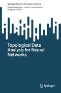 Topological Data Analysis for Neural Networks