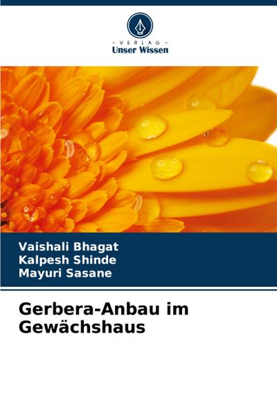 Gerbera-Anbau im Gewächshaus