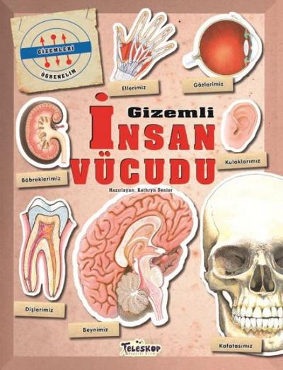 Gizemleri Ögrenelim - Gizemli Insan Vücudu