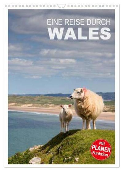 Eine Reise durch Wales (Wandkalender 2026 DIN A3 hoch), CALVENDO Monatskalender