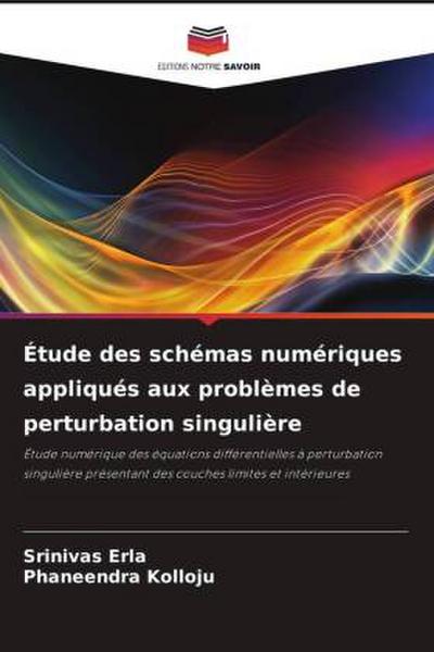 Étude des schémas numériques appliqués aux problèmes de perturbation singulière