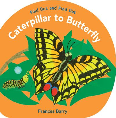 Caterpillar to Butterfly: Fold Out and Find Out
