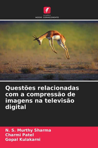 Questões relacionadas com a compressão de imagens na televisão digital