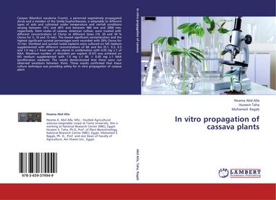 In vitro propagation of cassava plants