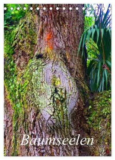 Baumseelen (Tischkalender 2026 DIN A5 hoch), CALVENDO Monatskalender