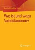 Was ist und wozu Sozioökonomie?