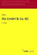 Die GmbH & Co. KG
