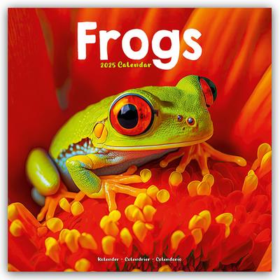 Frogs - Frösche 2025 - 16-Monatskalender
