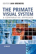 The Primate Visual System