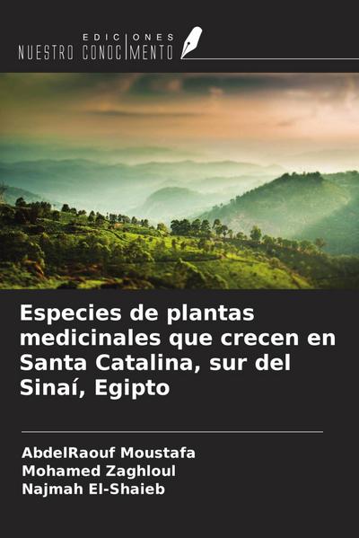 Especies de plantas medicinales que crecen en Santa Catalina, sur del Sinaí, Egipto