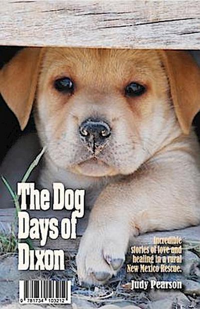 The Dog Days of Dixon