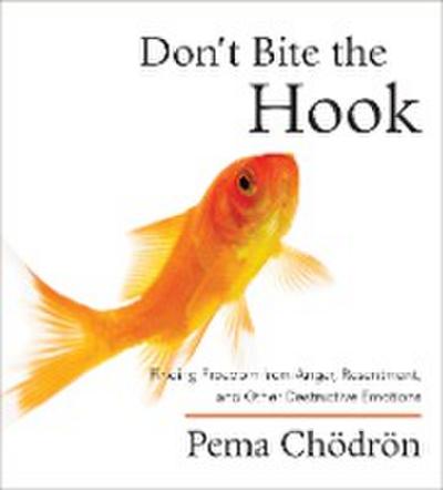 Don’t Bite the Hook: Finding Freedom from Anger, Resentment, and Other Destructive Emotions