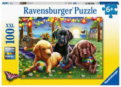 Hunde Picknick