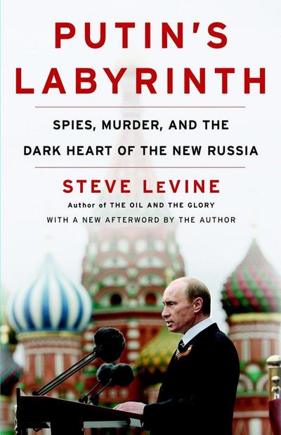 Putin's Labyrinth: Spies, Murder, and the Dark Heart of the New Russia - Steve Levine