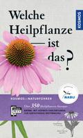 Welche Heilpflanze ist das?
