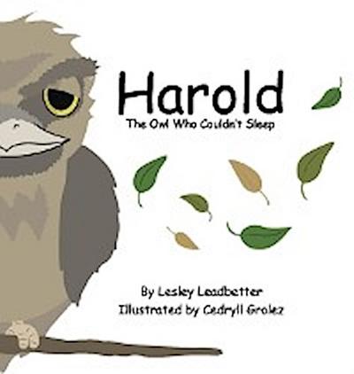 Harold the Owl Who Couldn’t Sleep