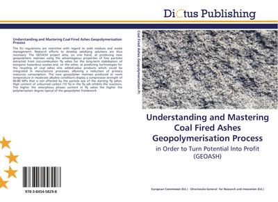 Understanding and Mastering Coal Fired Ashes Geopolymerisation Process