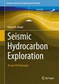 Seismic Hydrocarbon Exploration