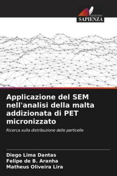 Applicazione del SEM nell’analisi della malta addizionata di PET micronizzato