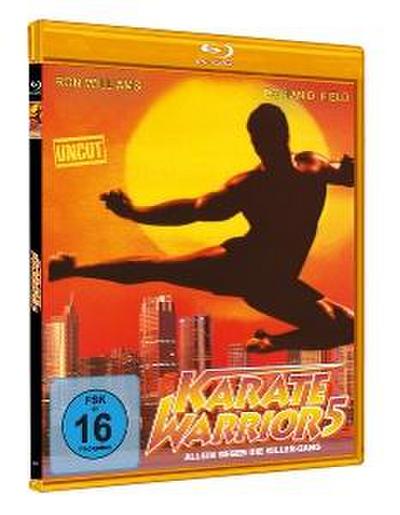 Karate Warrior 5