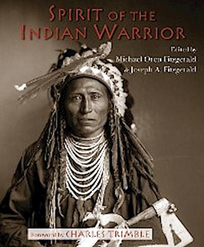 Spirit of the Indian Warrior