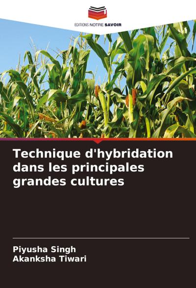 Technique d’hybridation dans les principales grandes cultures