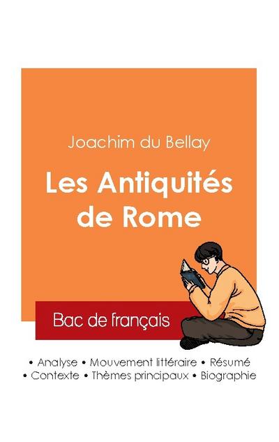 Réussir son Bac de français 2025 : Analyse du recueil Les Antiquités de Rome de Joachim du Bellay