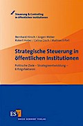 Strategische Steuerung in öffentlichen Institutionen: Politische Ziele - Strategieentwicklung - Erfolgsfaktoren