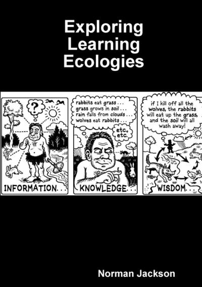 Exploring Learning Ecologies