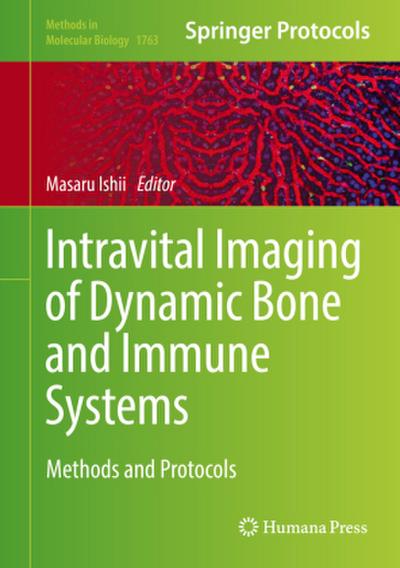 Intravital Imaging of Dynamic Bone and Immune Systems