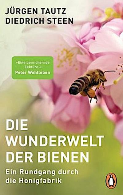Die Wunderwelt der Bienen