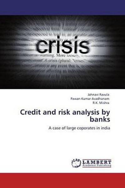 Credit and risk analysis by banks