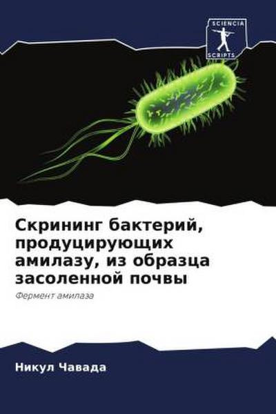 Skrining bakterij, produciruüschih amilazu, iz obrazca zasolennoj pochwy