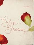 Slip Stream