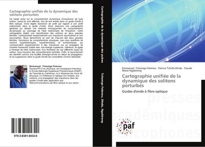 Cartographie unifiée de la dynamique des solitons perturbés