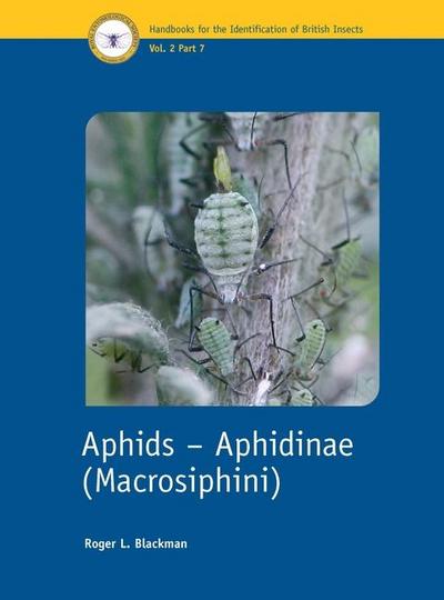 Aphids - Aphidinae (Macrosiphini)
