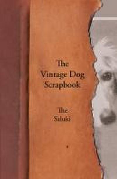 The Vintage Dog Scrapbook - The Saluki