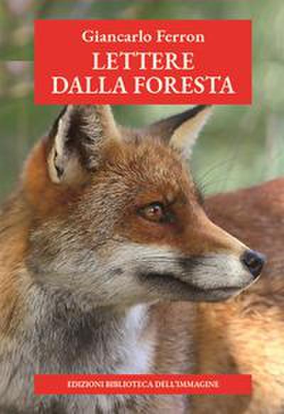 Lettere dalla foresta