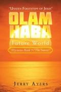Olam Haba (Future World) Mysteries Book 7-"The Sunset"