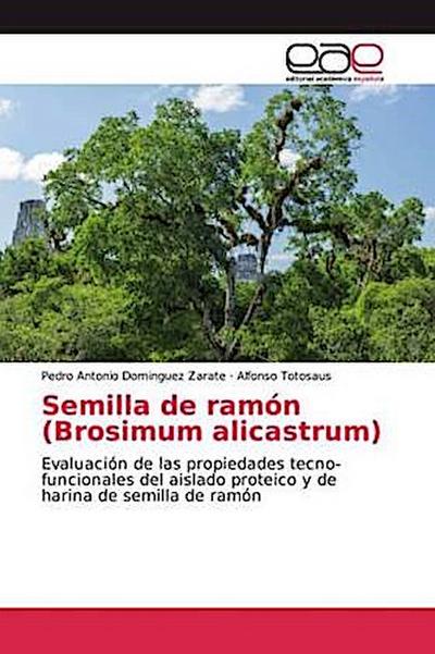 Semilla de ramón (Brosimum alicastrum)