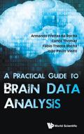 PRACTICAL GUIDE TO BRAIN DATA ANALYSIS, A