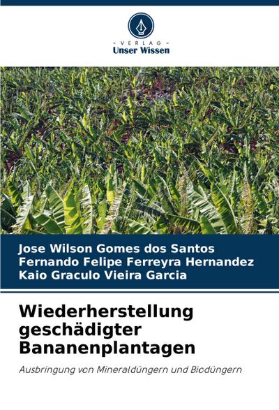Wiederherstellung geschädigter Bananenplantagen