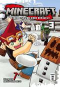 Minecraft 3