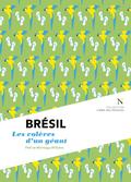 Brésil : Les colères d’un géant