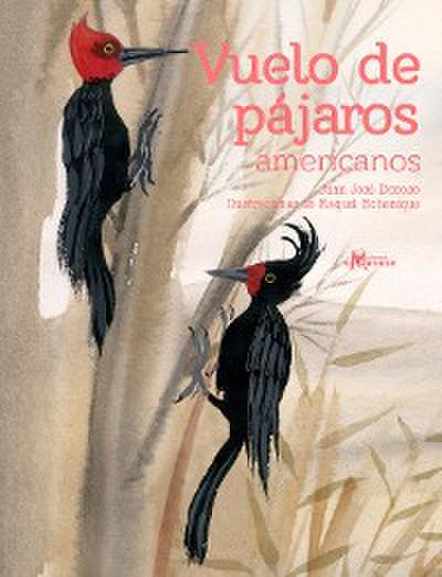 Vuelo de pájaros americanos
